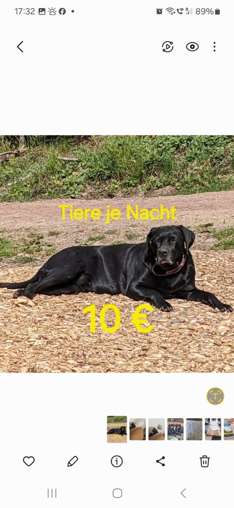Ferienwohnung Bohnert-Arias Bad Peterstal-Griesbach Bagian luar foto
